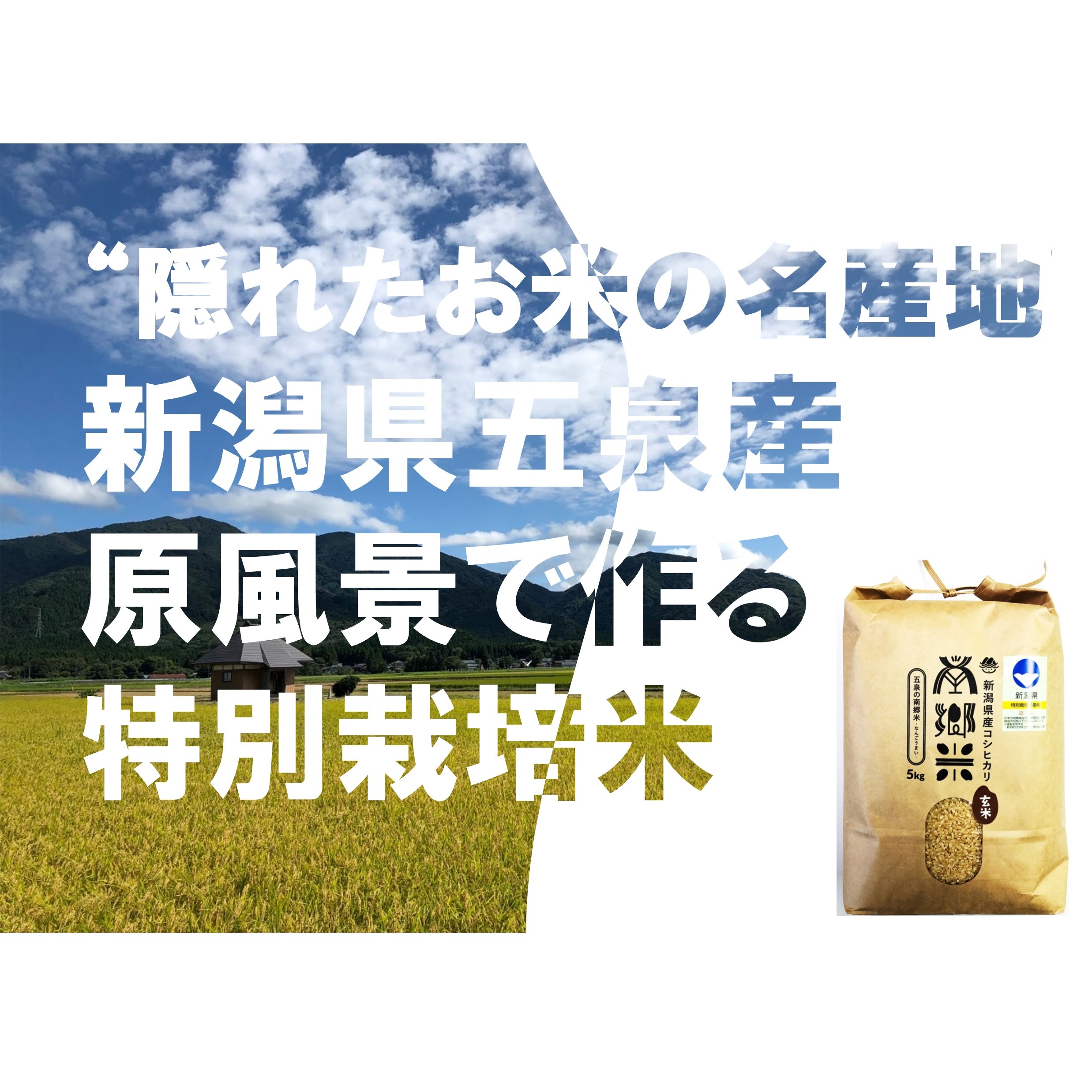 ☆新米☆[玄米]特別栽培米コシヒカリ5kg生産農家の直接販売