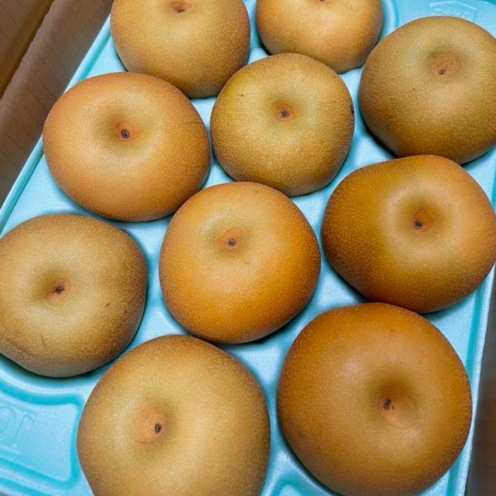 朝採り当日発送*美味しくなるまで収穫しない！こだわりの樹上熟成栽培