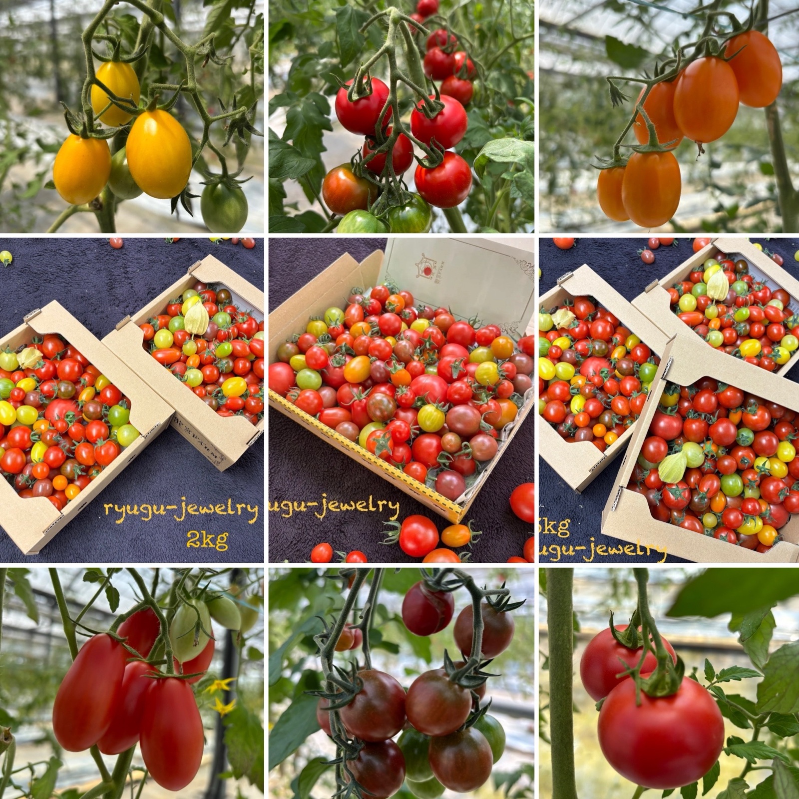 龍宮FARM（宮崎県・都農町）｜生産者詳細｜産直アウル