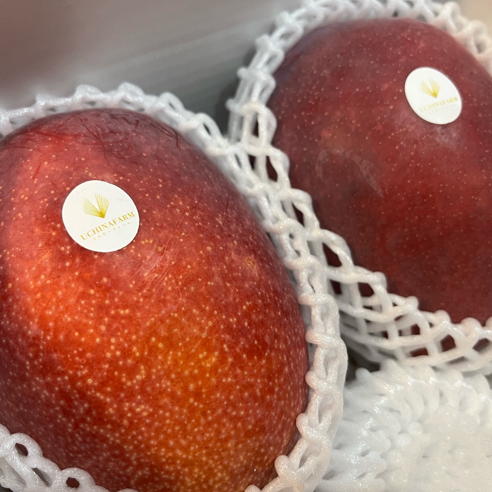 沖縄県産青マンゴー11kg(クール便発送) 沖縄産 青マンゴー B品 4.7kg クール便 - メルカリ