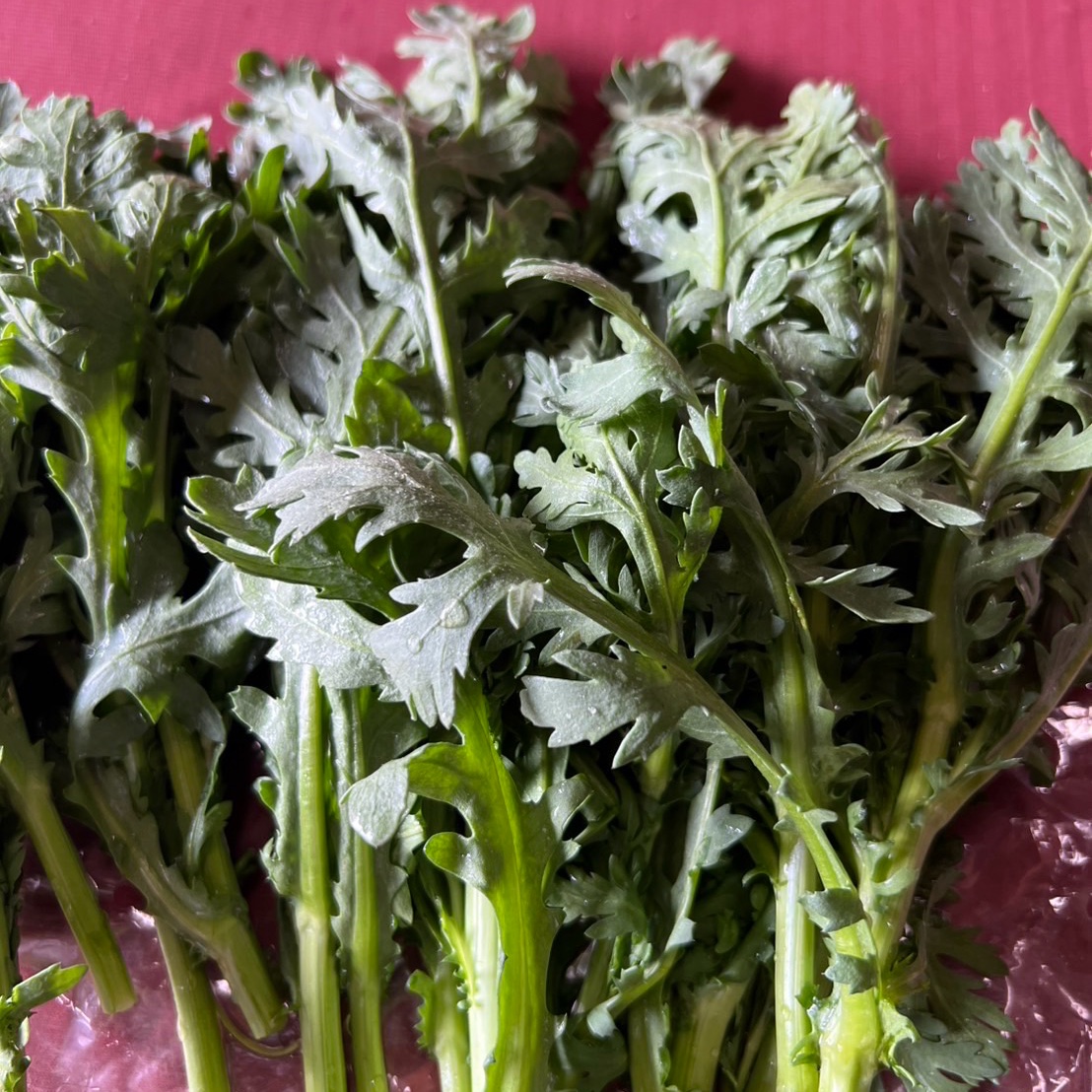 ☆そるる★様相談用【愛媛県産】水菜100サイズ箱いっぱい　春菊 ☆そるる☆様相談用【愛媛県産】水菜100サイズ箱いっぱい 春菊 ショップ
