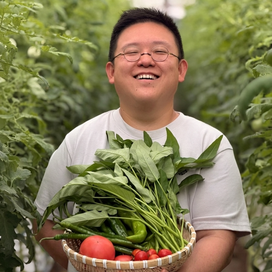 野菜セット新登場【Mセット 8~9品】至高のプレミアム 畑の鼓動を丸ごと