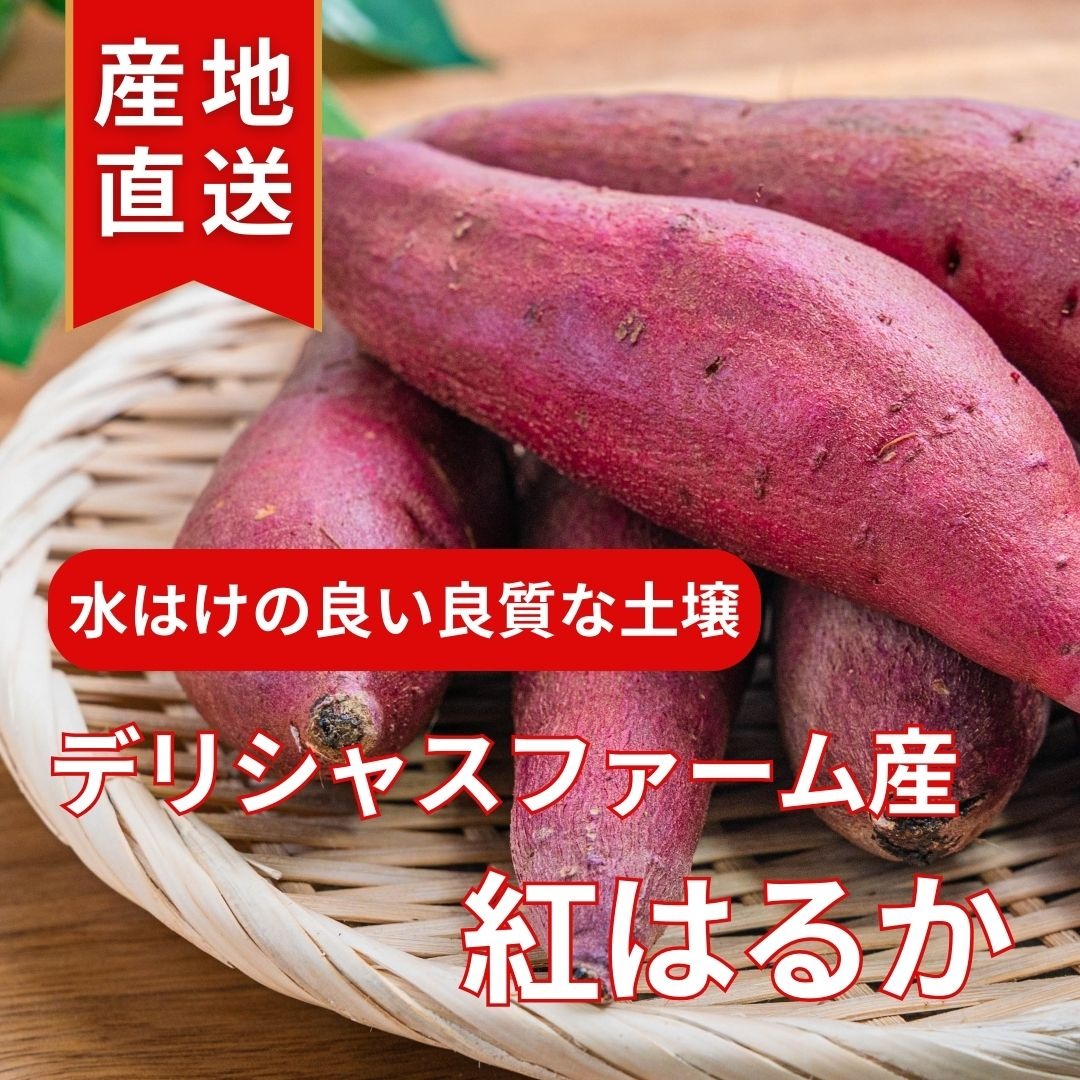 熟成芋紅はるか 3kg（土付き） ｜ 野菜/さつまいも 産直アウル 農家 