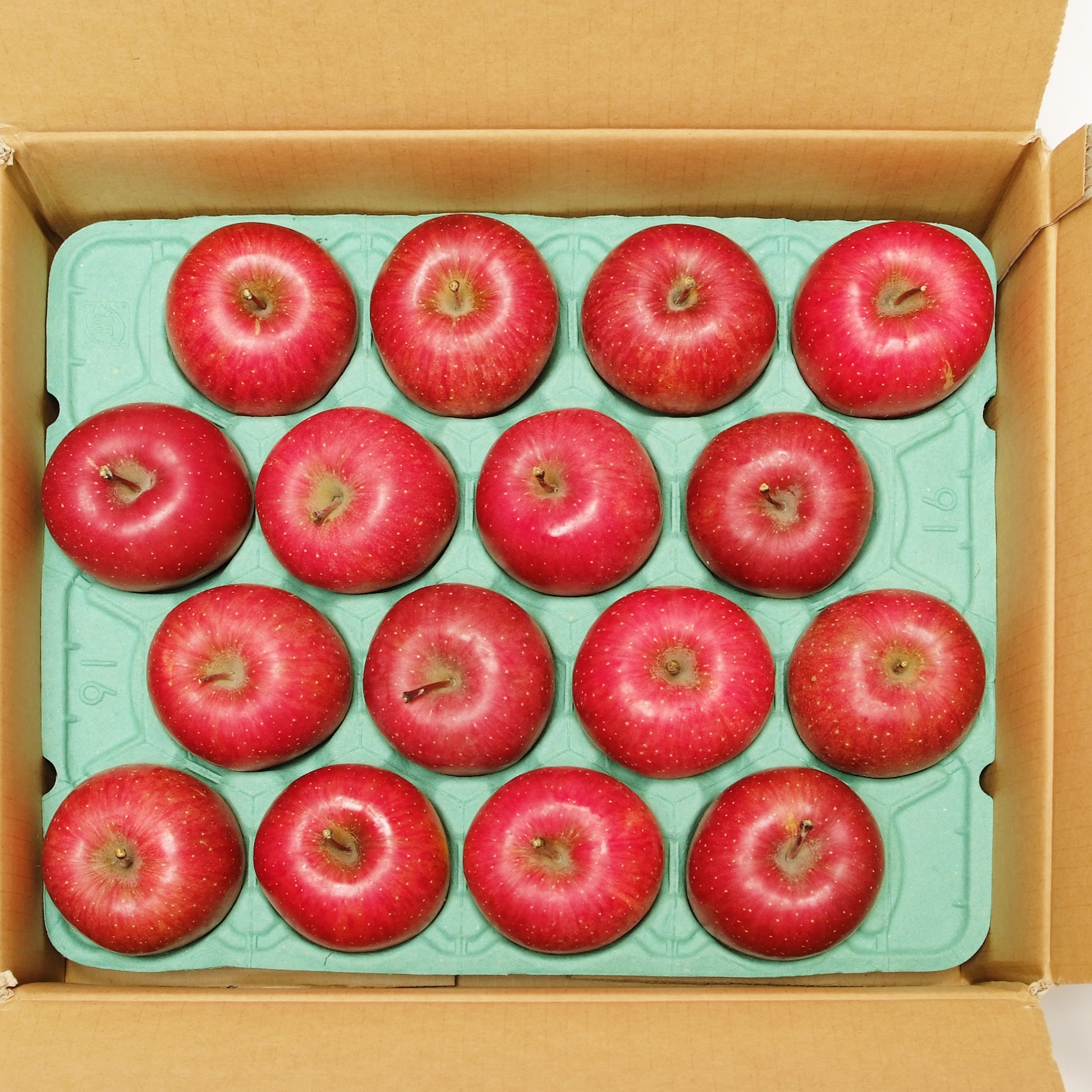 樹上完熟 喜三郎農園のサンふじ贈答用約10k | 果物/りんご 産直アウル