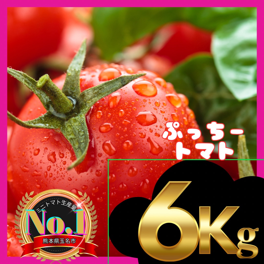 ミニトマト 6キロ 野菜 熊本産地直送 弁当 おかず トマト ミネラル