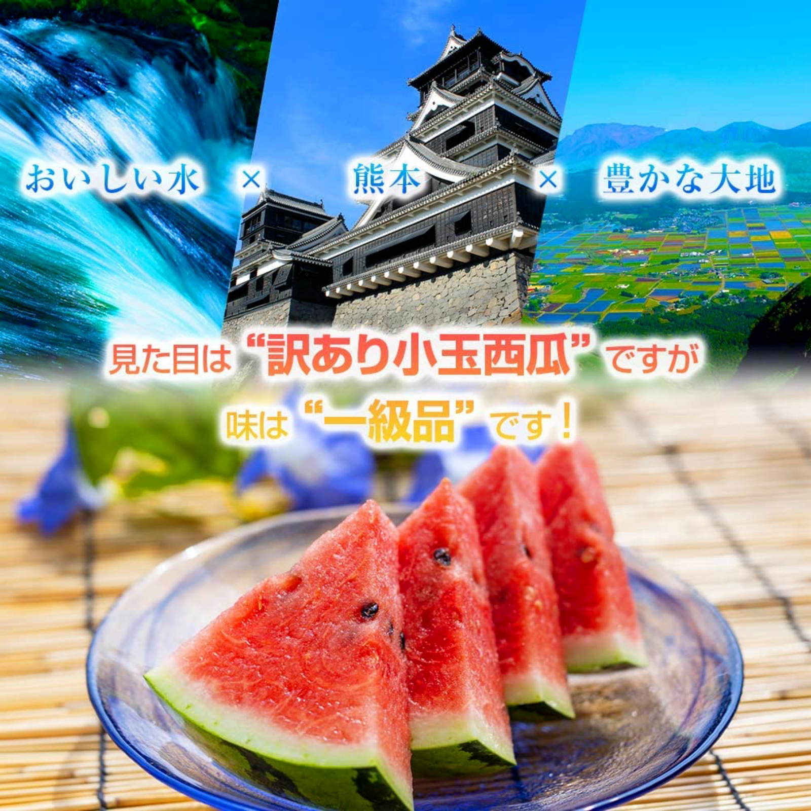 選果落ち 訳あり商品 S＆Mサイズ 熊本 小玉すいか 2玉 合計 2.5Kg S 