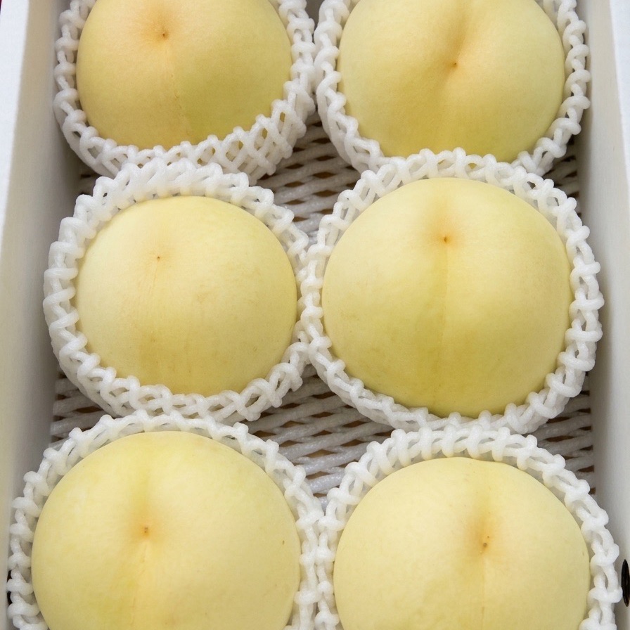 お中元ギフト】岡山特産 清水白桃 プレミアム品質 厳選大玉 産地直送