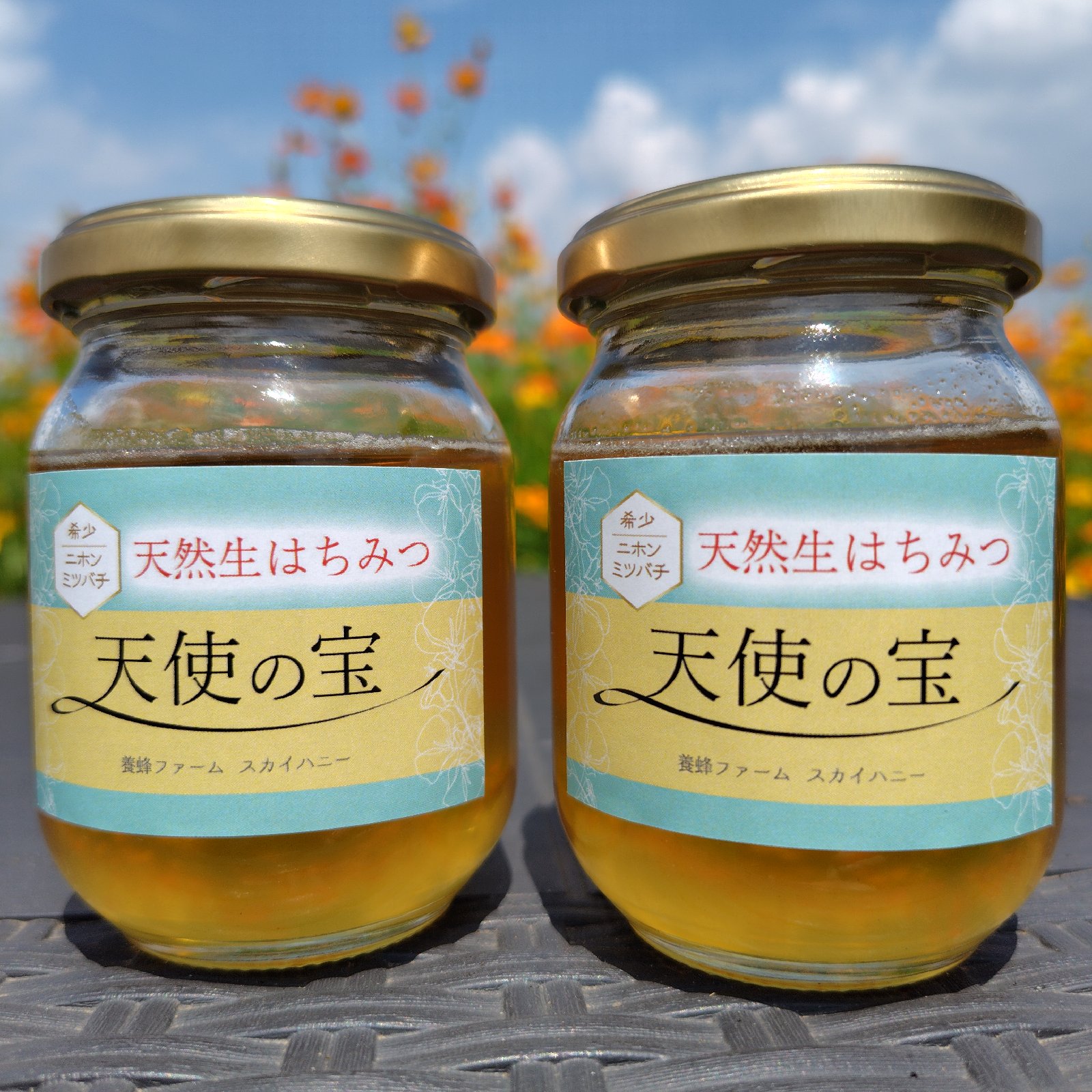 日本ミツバチ天然生蜂蜜 | はちみつ/はちみつ 産直アウル 農家から直接