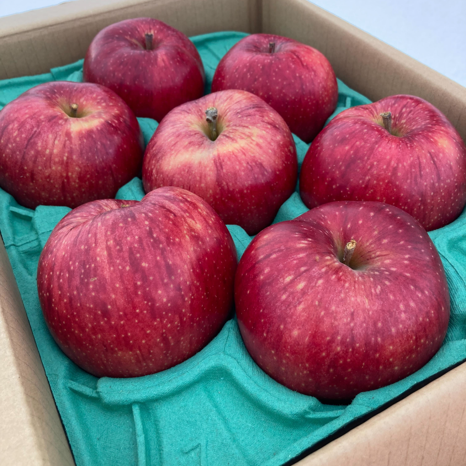 完売】美紅（みく）2.3kg（6～12個） ｜ 果物/りんご 産直アウル 農家