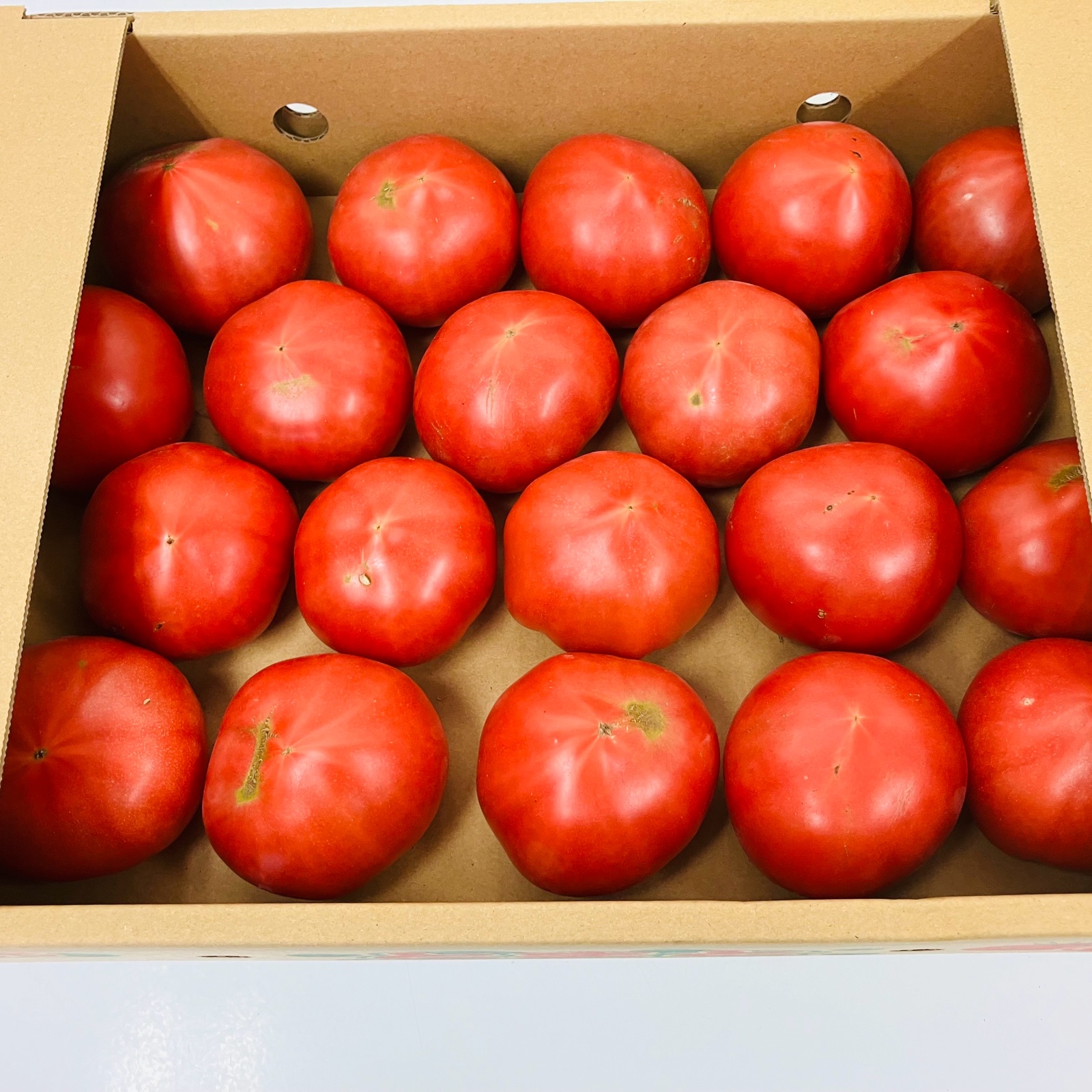熊本産 アイコ3kg 【公式通販】