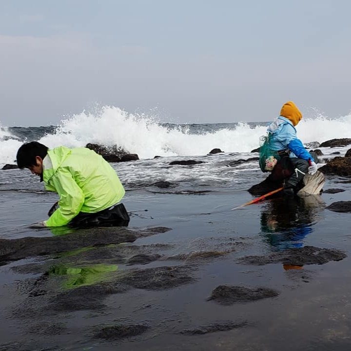 利尻島産　島海苔　10枚