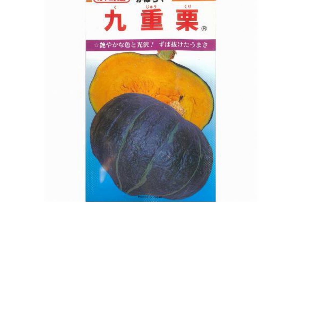 ☆九重栗☆福島産 栽培時無農薬かぼちゃ（1玉 約1kg～1.5kg程度） 10