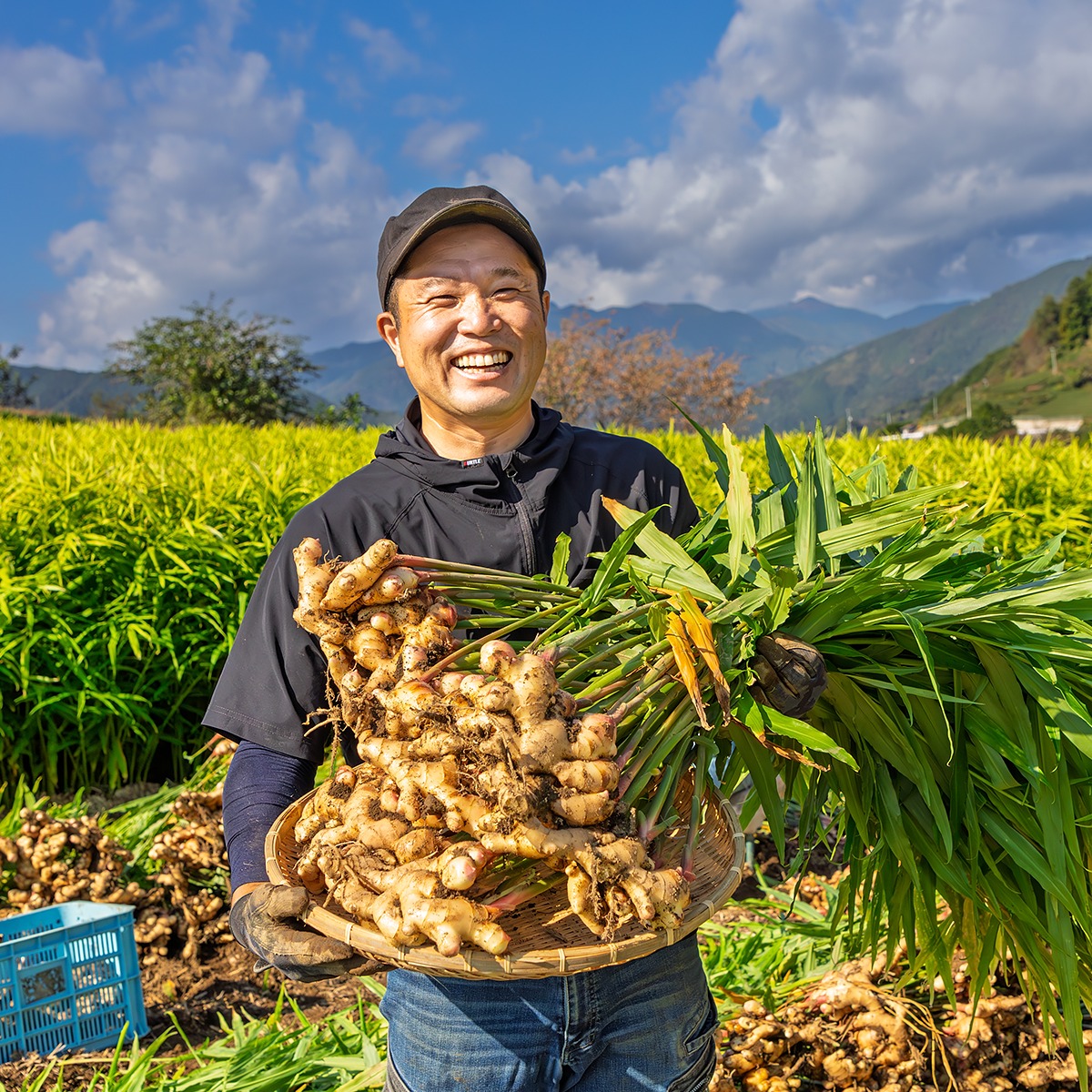 高知の生姜専門店 あさの（高知県・香美市）｜生産者詳細｜産直アウル