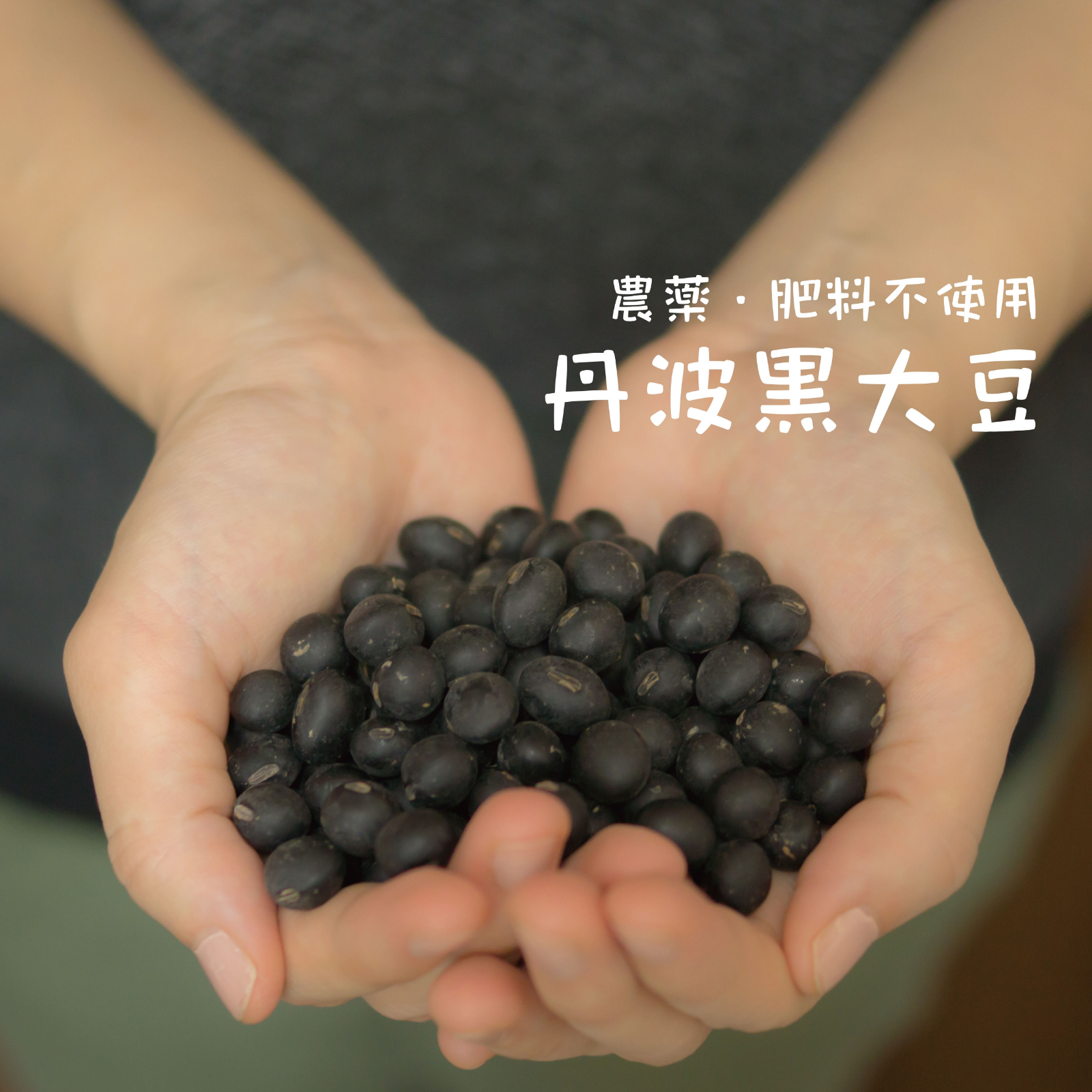 兵庫県産 丹波黒大豆 【送料無料】令和7年度産 丹波黒豆 無農薬