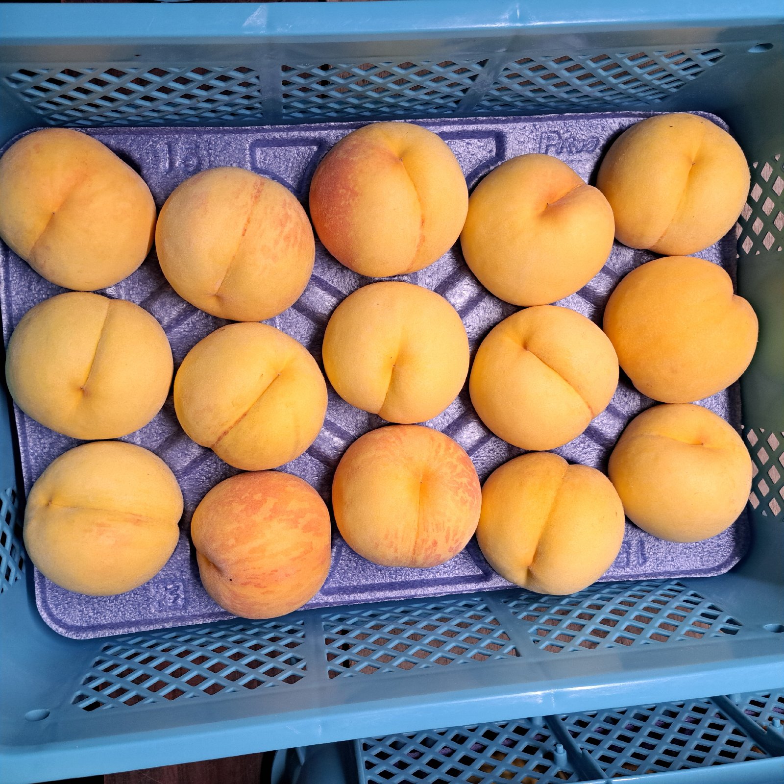 山形県産 黄桃 黄貴妃 5kg | 果物/もも 産直アウル 農家から直接野菜