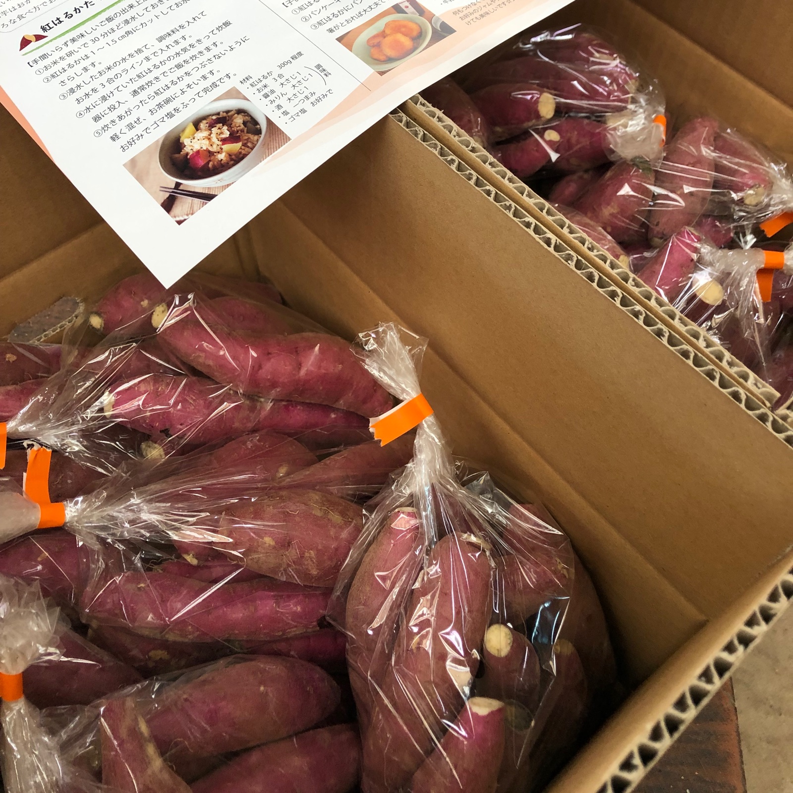 大箱お得用　農家直送　紅はるかせっこう　正味6kg 🧑‍🌾農家直送 紅はるか 干し芋 せっこう 箱込み5kg