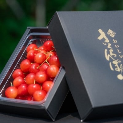 さくらんぼ佐藤錦 300g 山形県産 果肉がジューシー お試し商品 母の日
