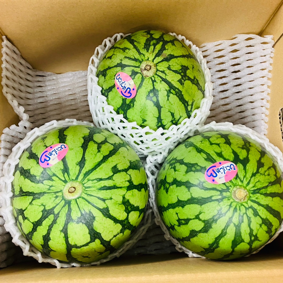 熊本県スイカ秀Sサイズ2玉入り 小玉スイカ 2玉(2Lサイズ以上)(熊本市) | 熊本県熊本市 | ふるさと納税