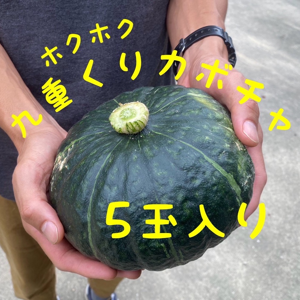 九重くりカボチャ5玉 ｜ 野菜/かぼちゃ 産直アウル 農家・漁師など生産