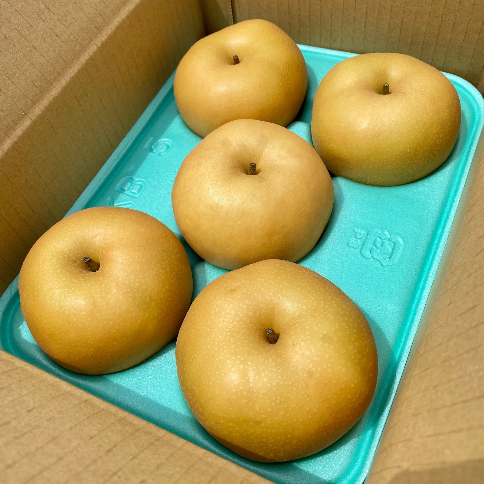 (大玉サイズ)★送料込★秋田県産南水梨約10kg 千葉県白井産 豊水梨 3Lサイズ10kg28玉【お届け期間:8/26(火)〜9