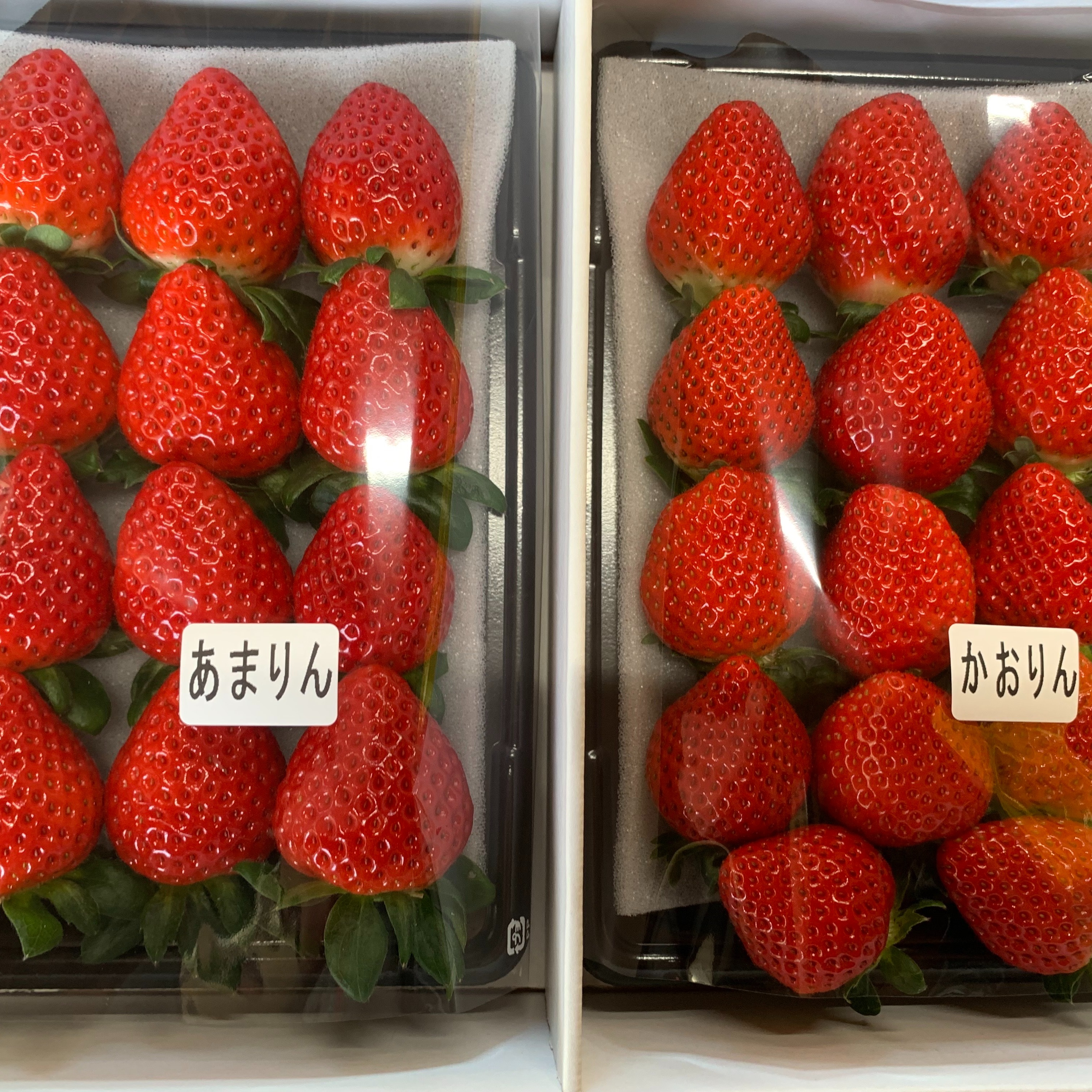 2箱 食べ比べセット あまりん&べにたま 埼玉県プレミアムいちご
