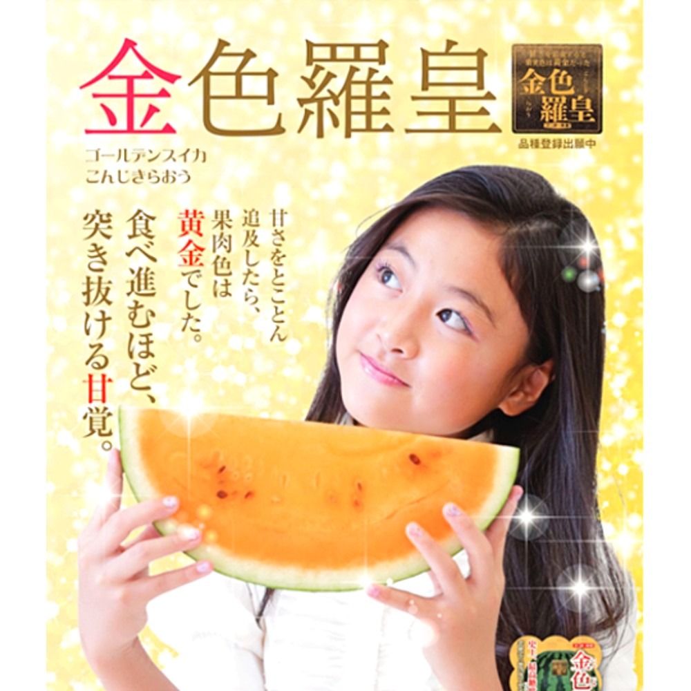 旬祭限定】《予約》尾花沢大玉スイカ 金色羅王 L 2玉 12~14kg 糖度17度