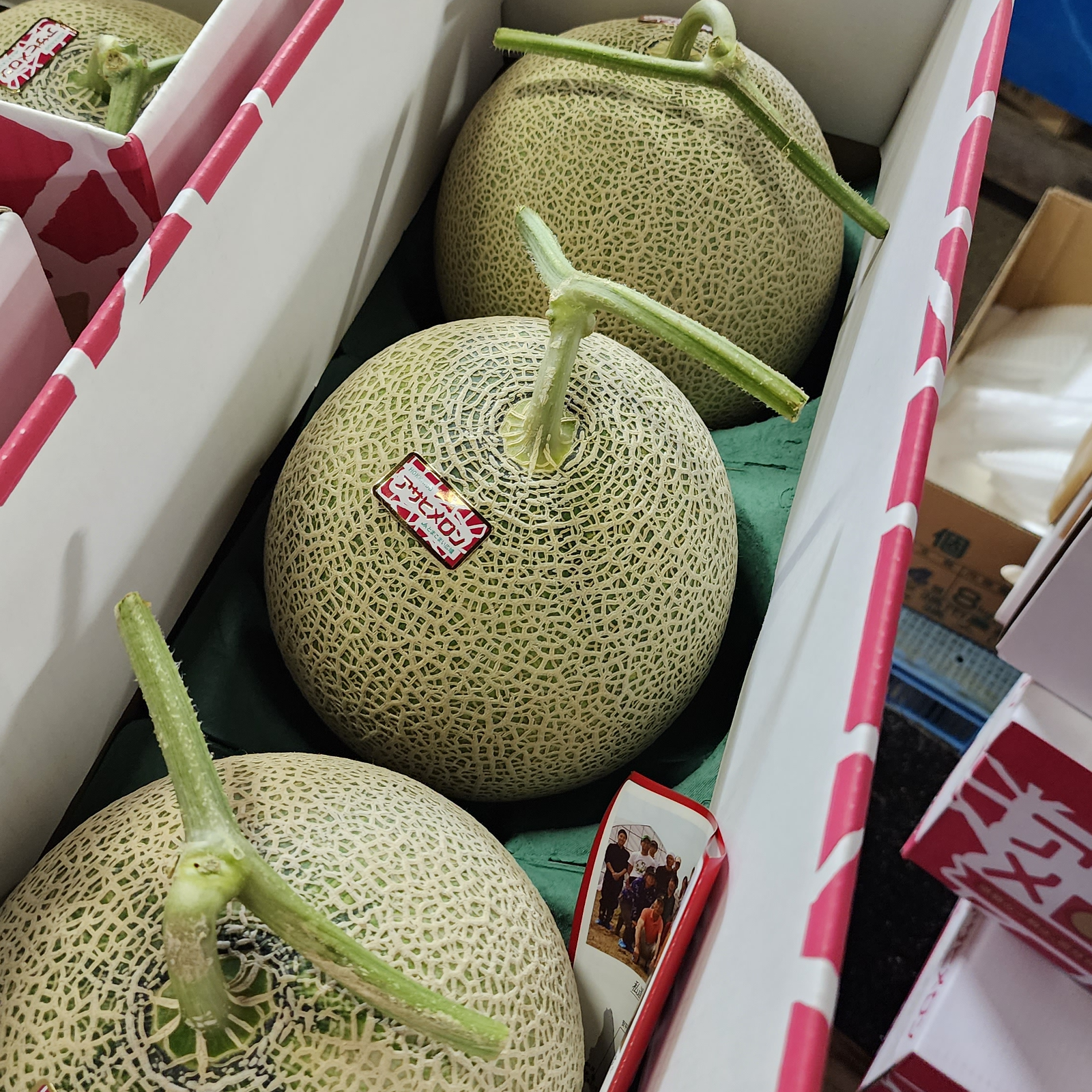 超特大!!!! 秀品 「品種：ティアラ」 北海道アサヒメロン3玉 8キロ 北海道赤肉メロン 超特大3玉入 1箱8kg以上富良野メロンなど他 | 果物