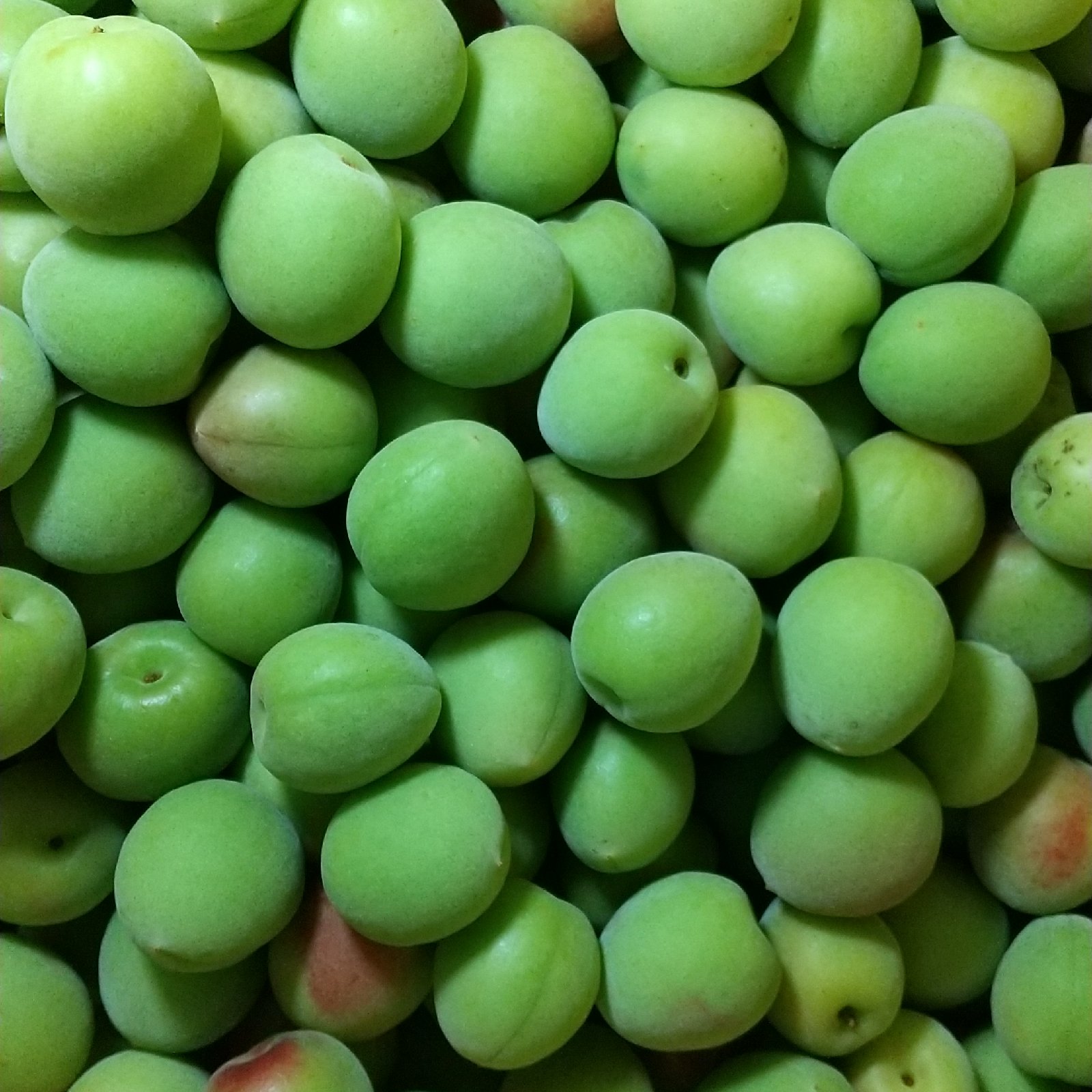 食品 Nana 様 山梨県産 20kg 新鮮 中熟～完熟 甲州小梅