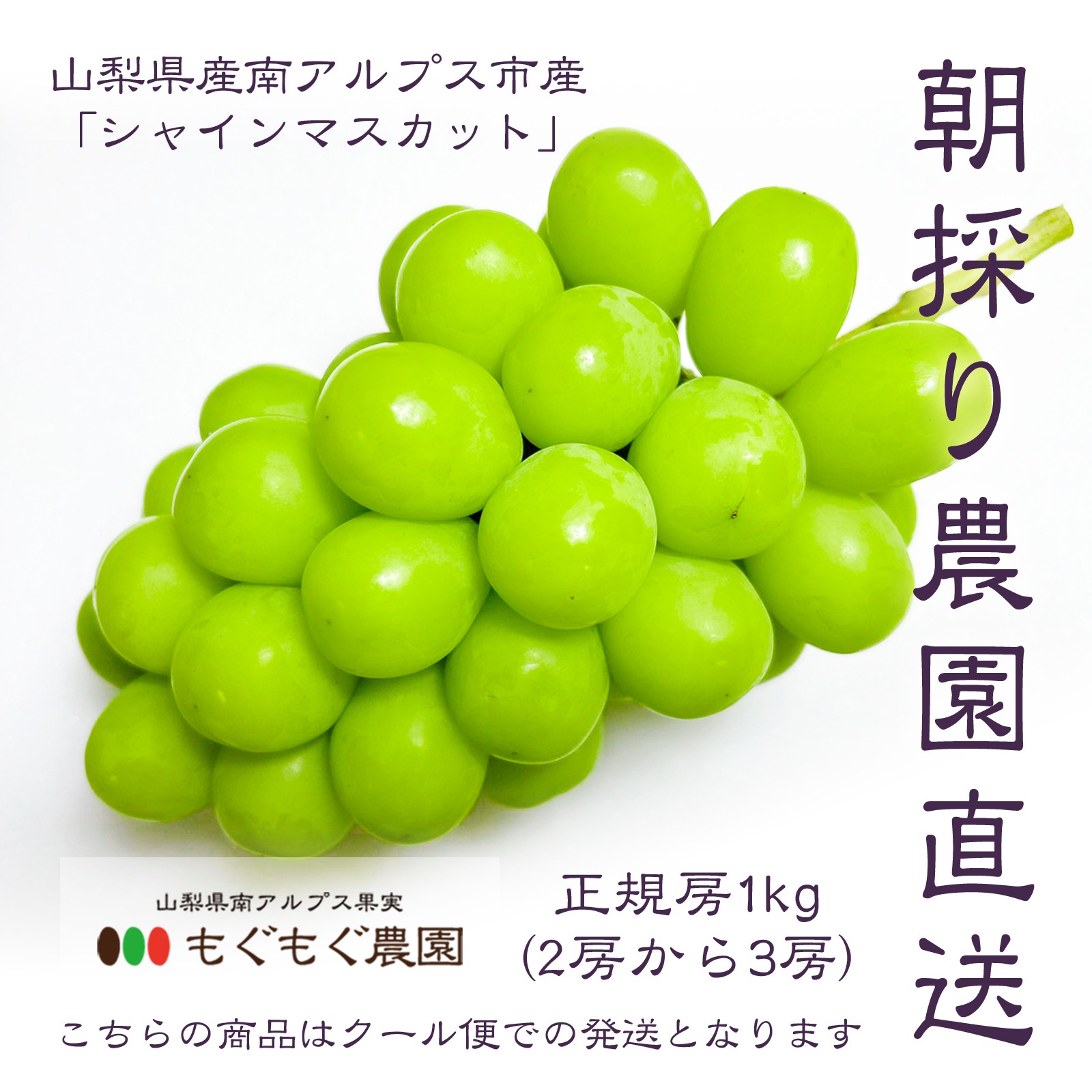 山梨県産】シャインマスカット(種無し)1kg（2房から3房）クール便