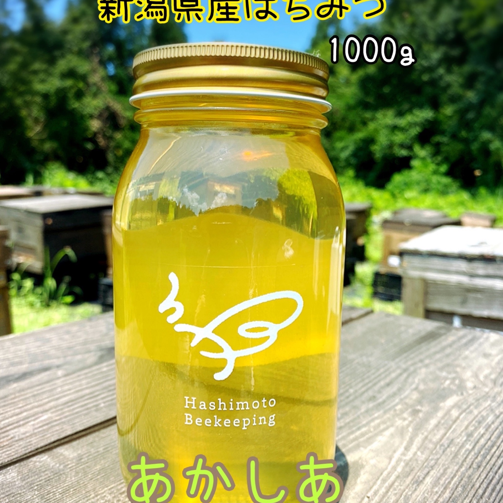 2026年新潟県産はちみつ あかしあ1000g ｜ はちみつ/はちみつ 産直