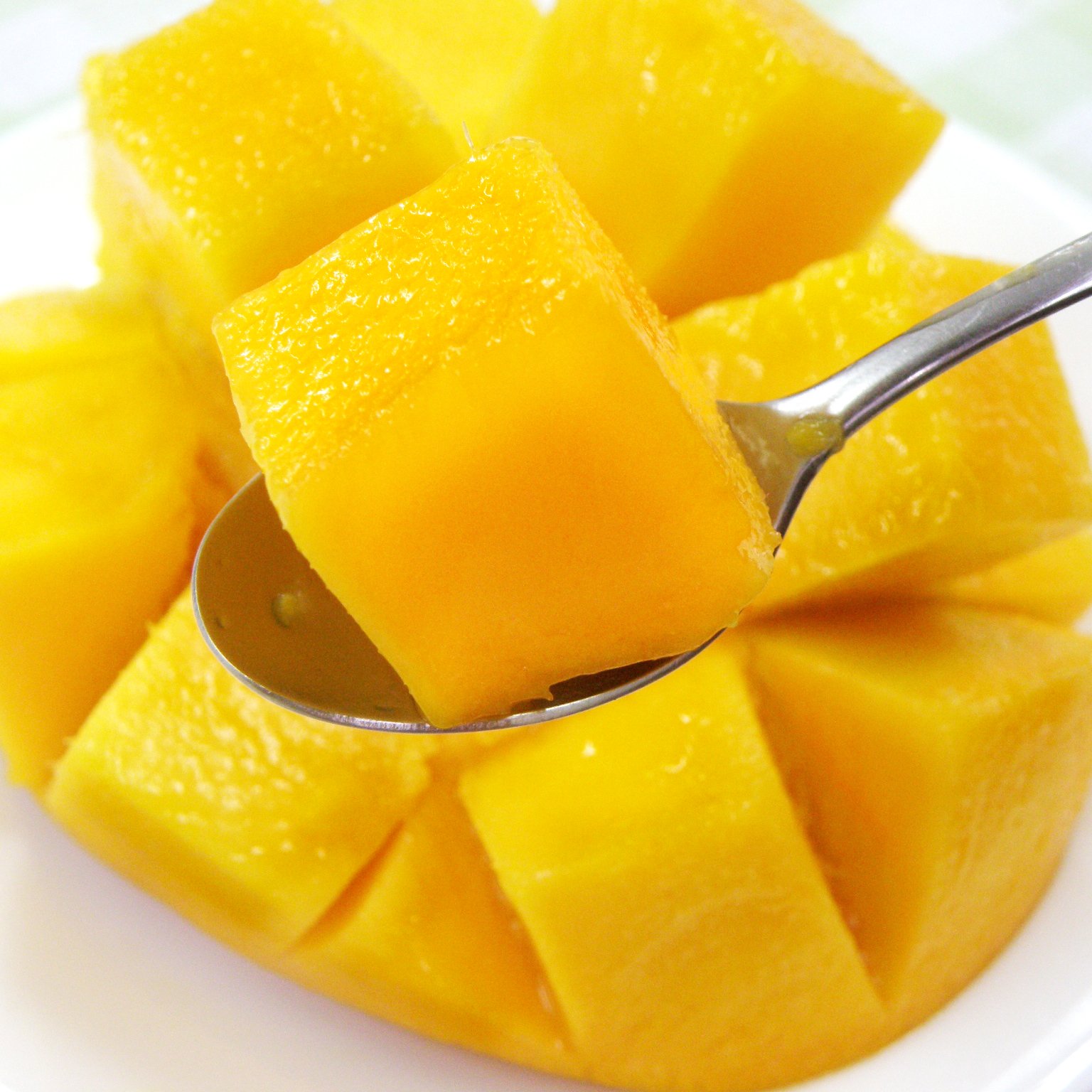 宮古島産完熟マンゴー5玉入り【贈答用】 予約販売6月中旬から発送