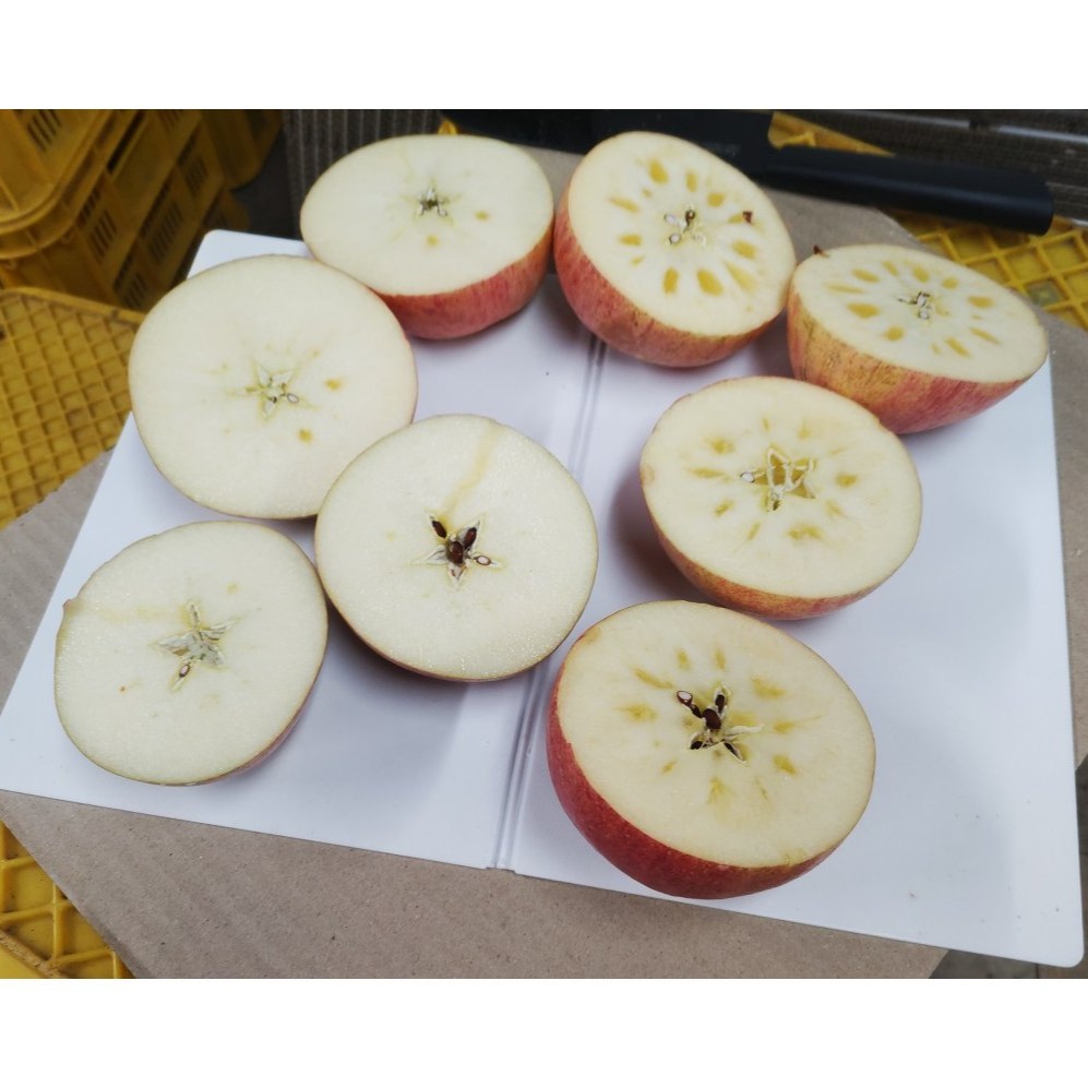 専用です！サンふじ10キロ！ りんご サンふじ 規格外品 10kg箱入 ｜ 果物/りんご 産直アウル 農家