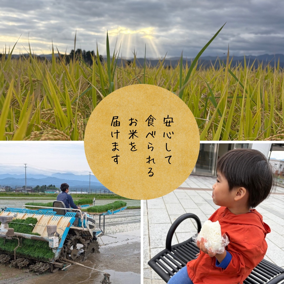農家直送 お米 10キロ　令和6年産　精米済④ 農家直送 令和8年産 雪若丸 精米 10キロ(5キロ×2袋) ｜ 米・穀物/米