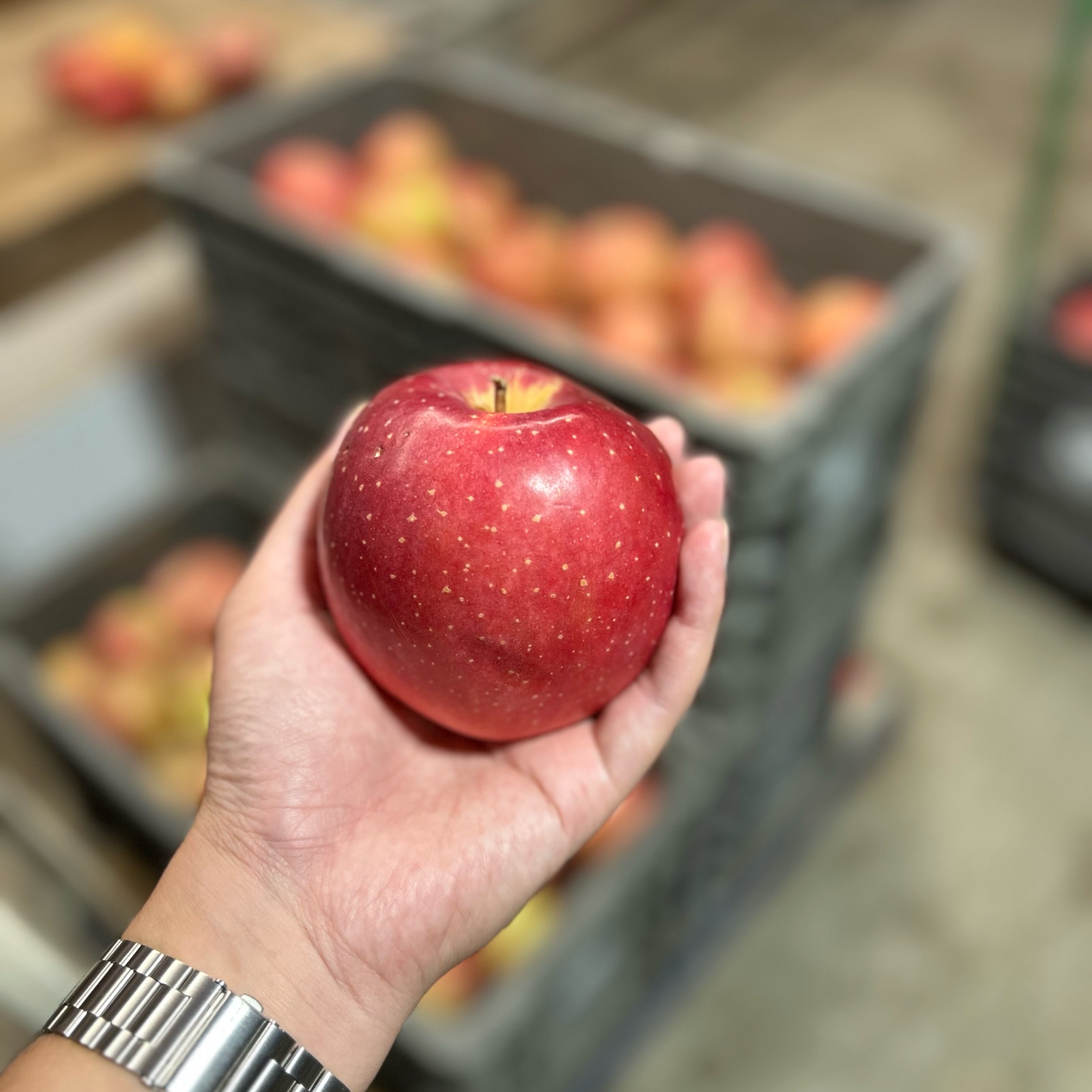 de952e584881da0d203d946314f775