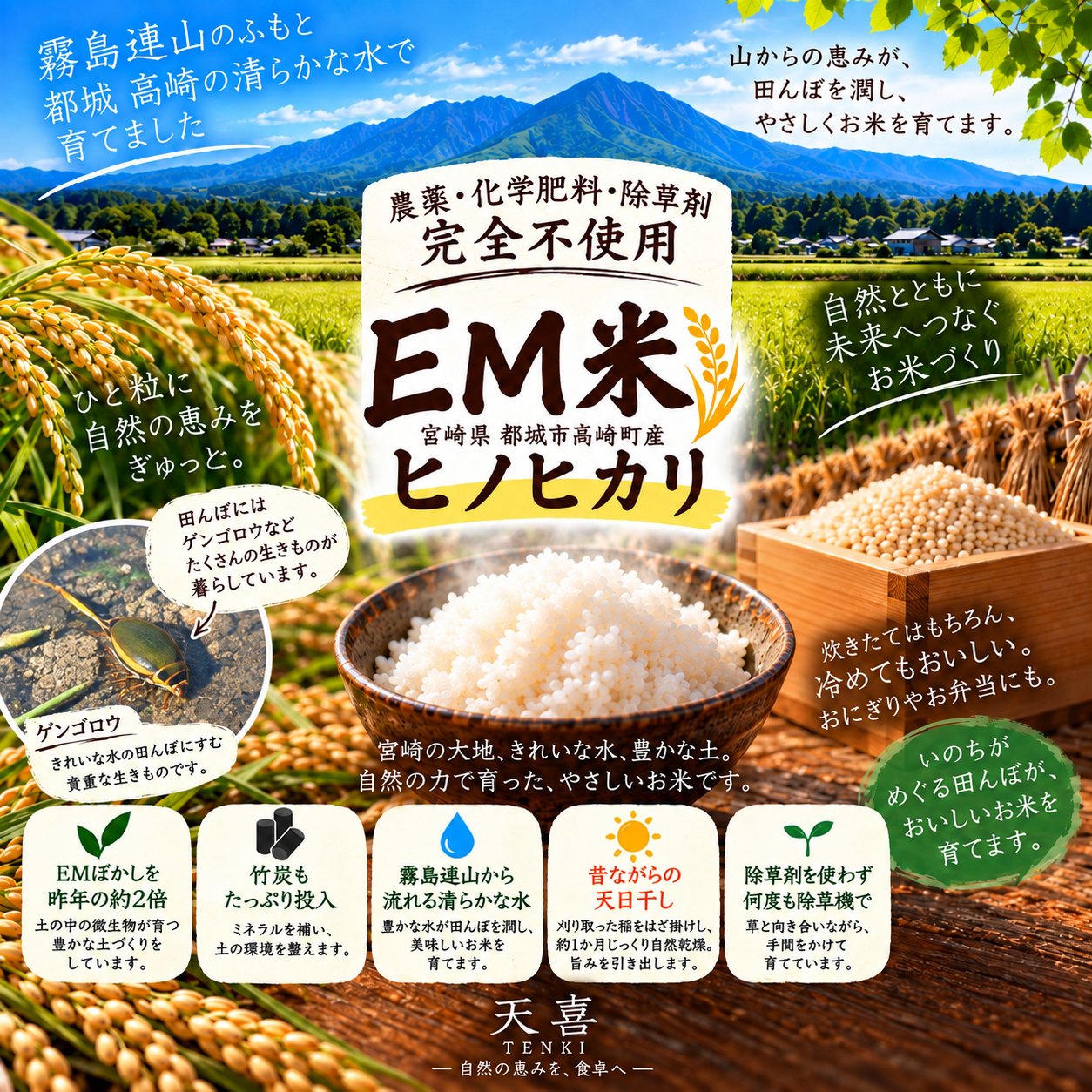 古米天日干し２０キロ白米 天喜｜土からのご褒…の最新投稿「流通量わずか0.1％！？希少な天日