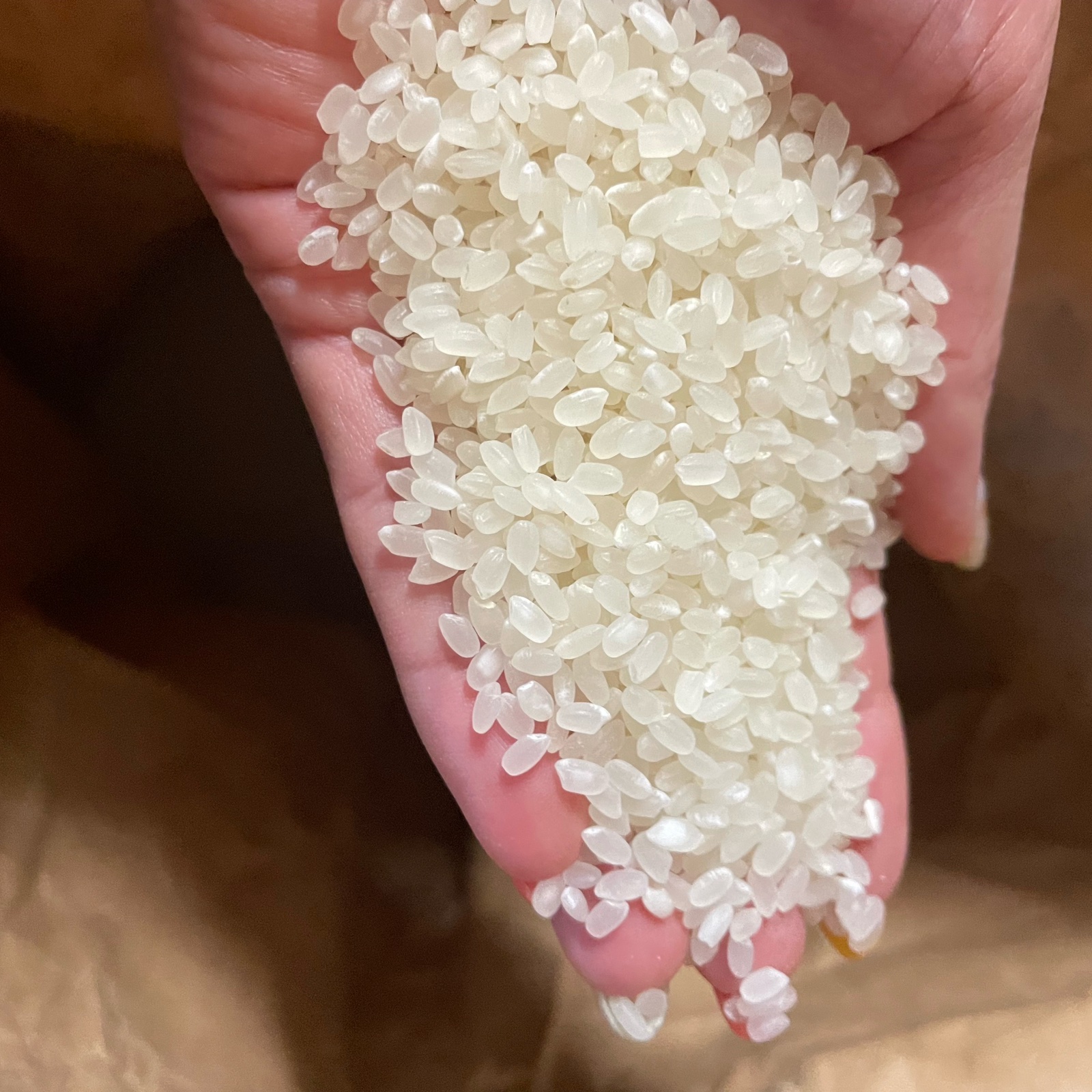 令和7年産 新米にこまる おすそ分け にこまる 令和7年 新米🌾 和歌山県産 ｜ 米・穀物/米/精米 産直アウル