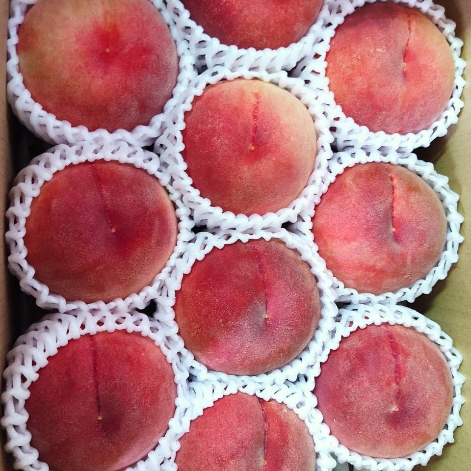 桃（美郷）3kg 10玉前後 ｜ 果物/もも 産直アウル 農家・漁師など