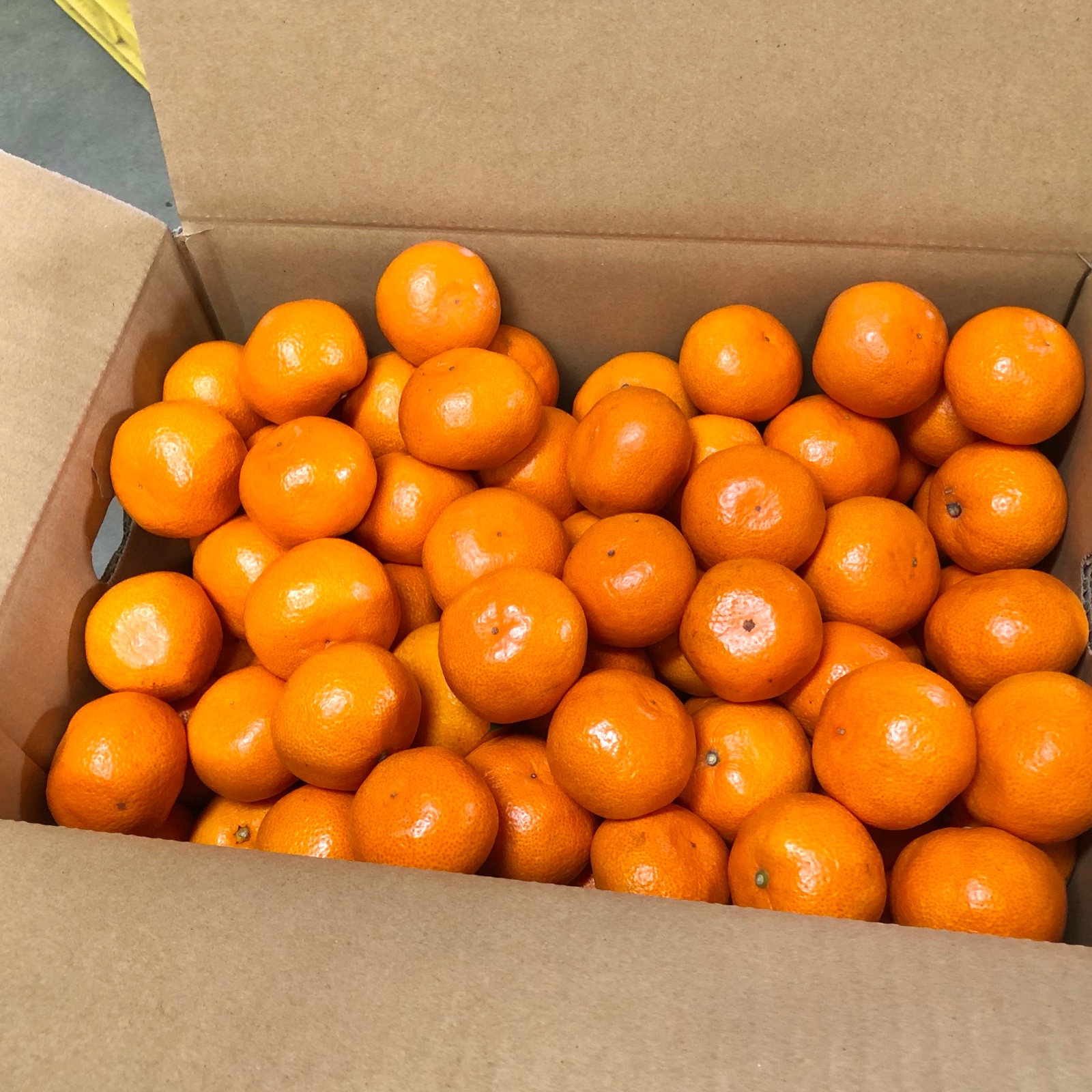 ぽお美's farm（高知県・香南市）｜生産者詳細｜産直アウル