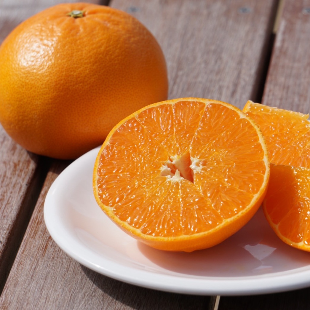 【ぴのぴの】LL玉せとか6Kg×２か所送り 柑橘の大トロ 「せとか」2kg ｜ 果物/オレンジ・その他みかん 産直