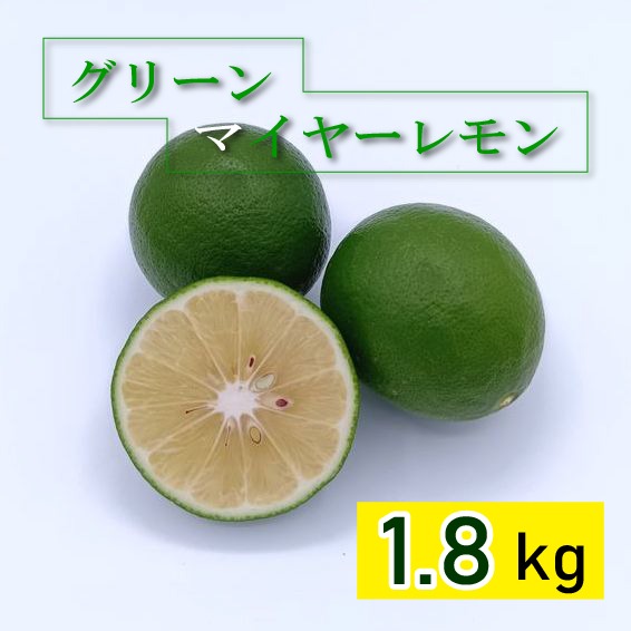緑色のレモン『グリーン マイヤーレモン』 1.8kg ｜ 果物/香酸柑橘