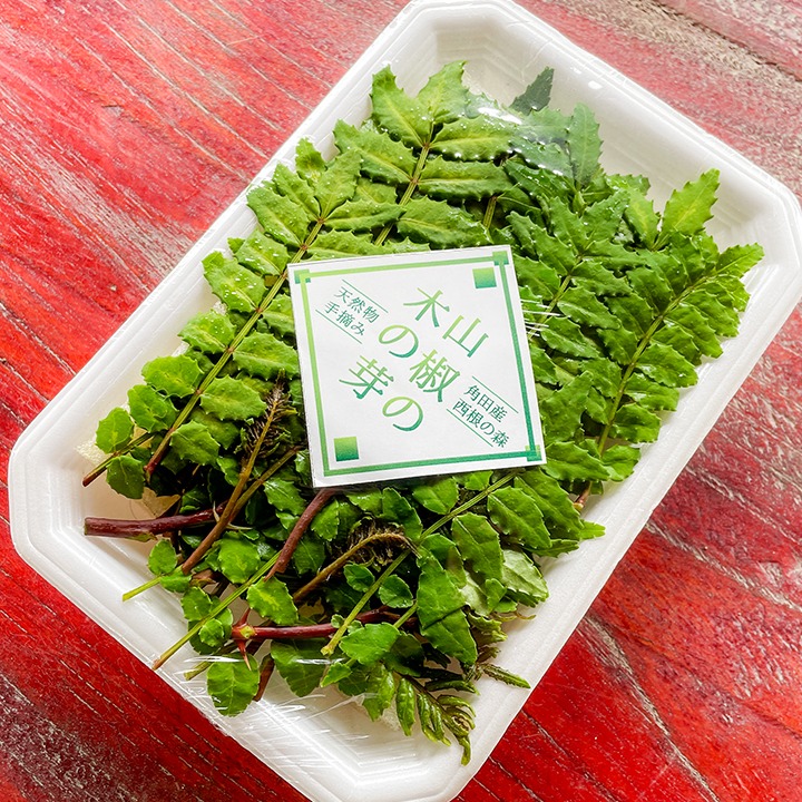 天然　花山椒　採りたて　青森産 ★山椒若芽　おまけあり 当日採取でお届け】 天然物 山椒の木の芽 若芽 40g 山菜 宮城県西根の