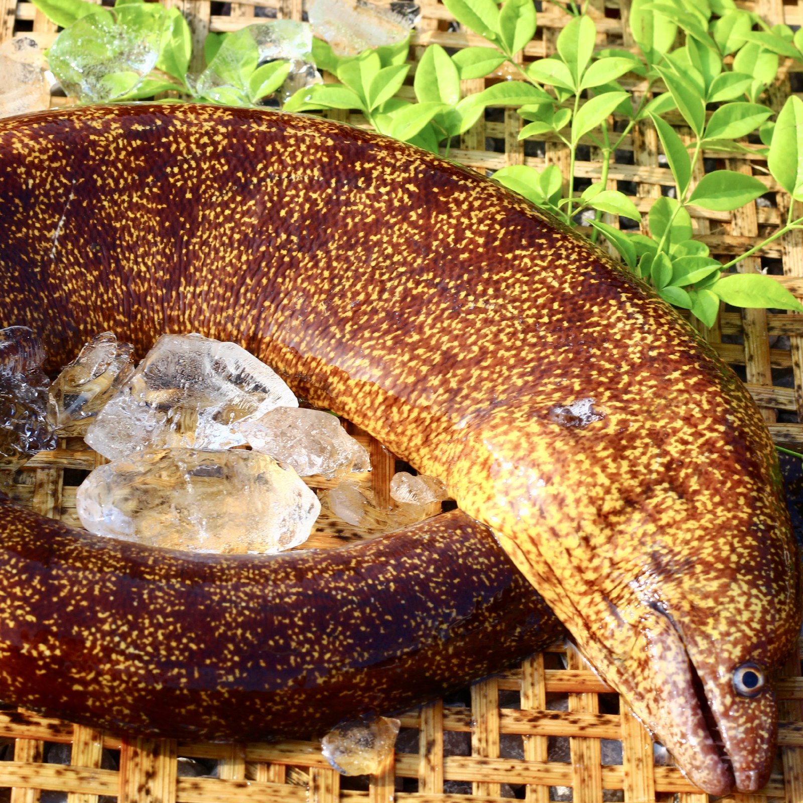 df7b3e223b0cbd370c4ef884f02aac