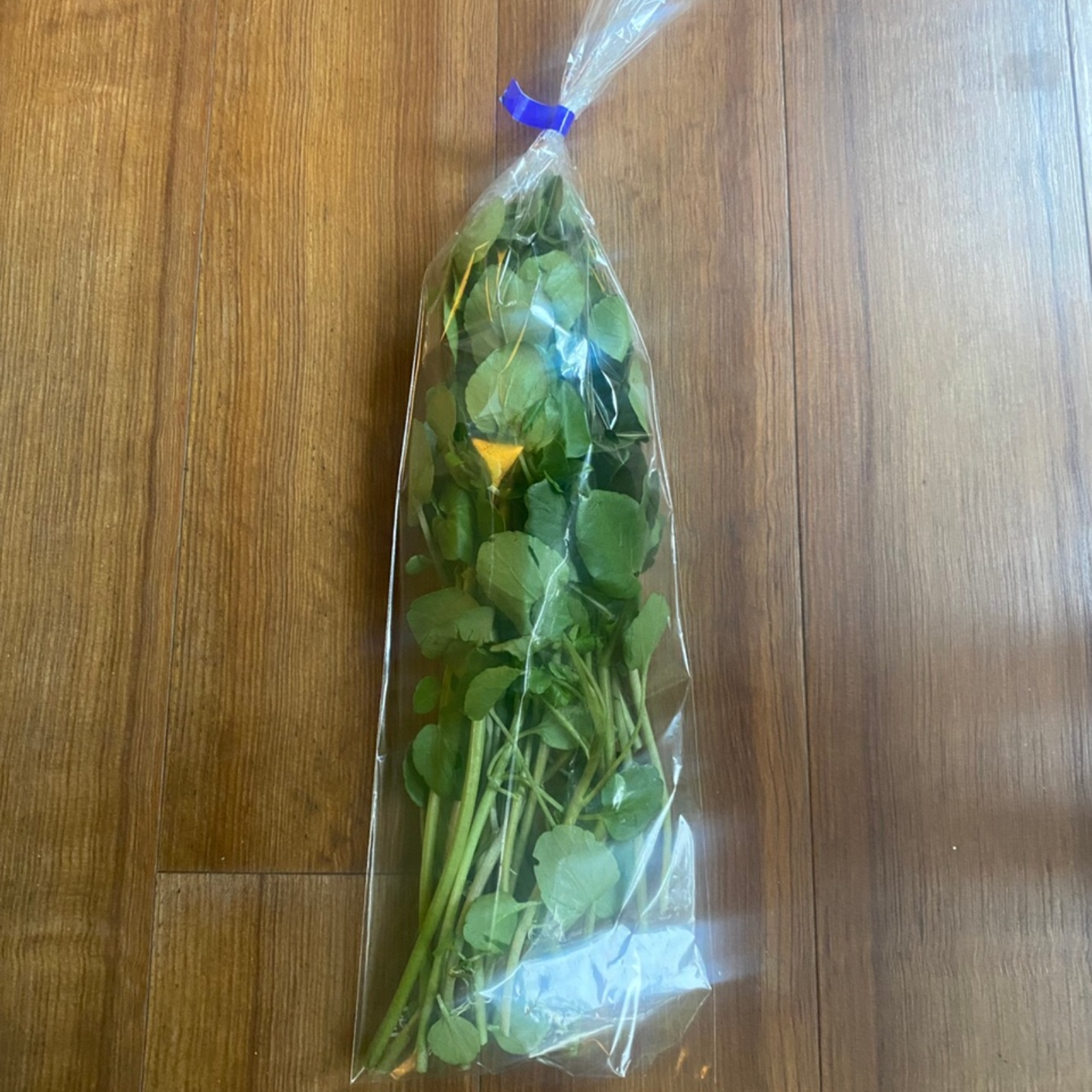 クール便 天然クレソン　採れたて1kg
