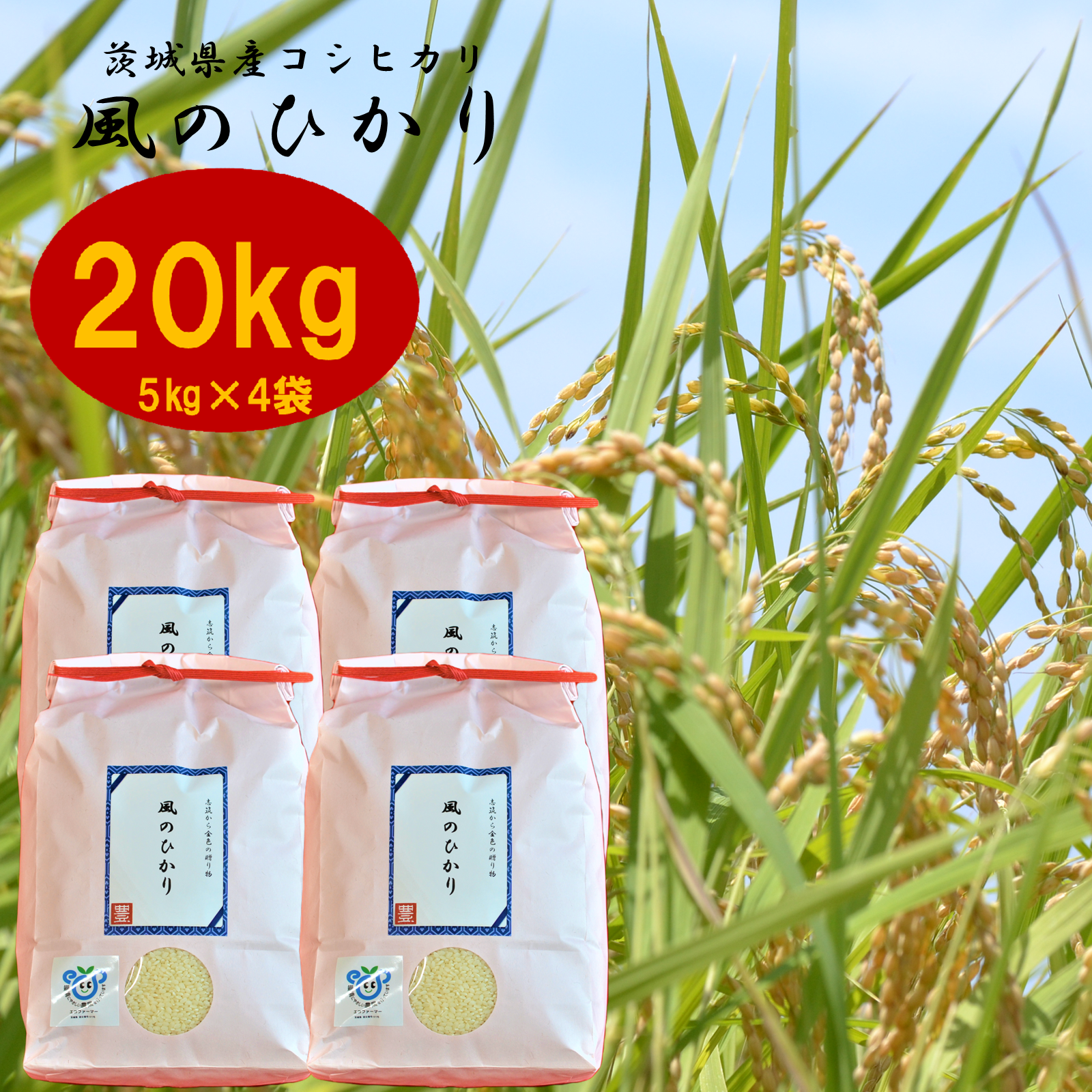 令和7年産】茨城県産コシヒカリ 風のひかり20kg | 米・穀物/米/精米