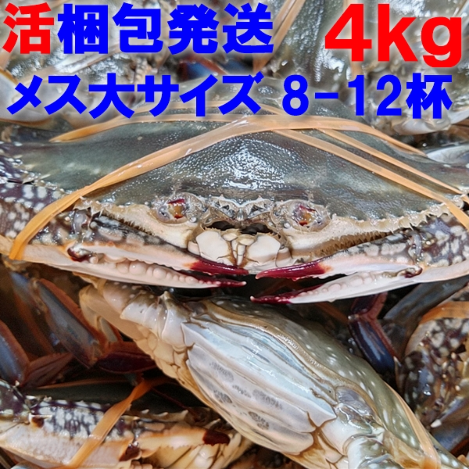 北海道産　ワタリガニ　メス内子入り　1.5㎏