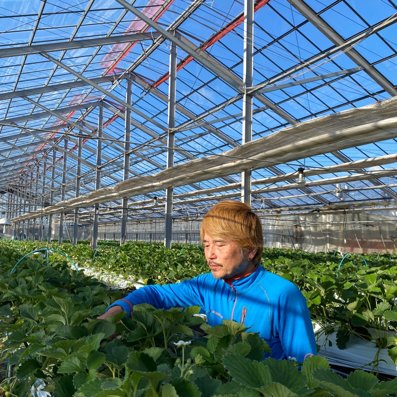 山形県寒河江市の産地直送食材と生産者一覧｜産直アウル