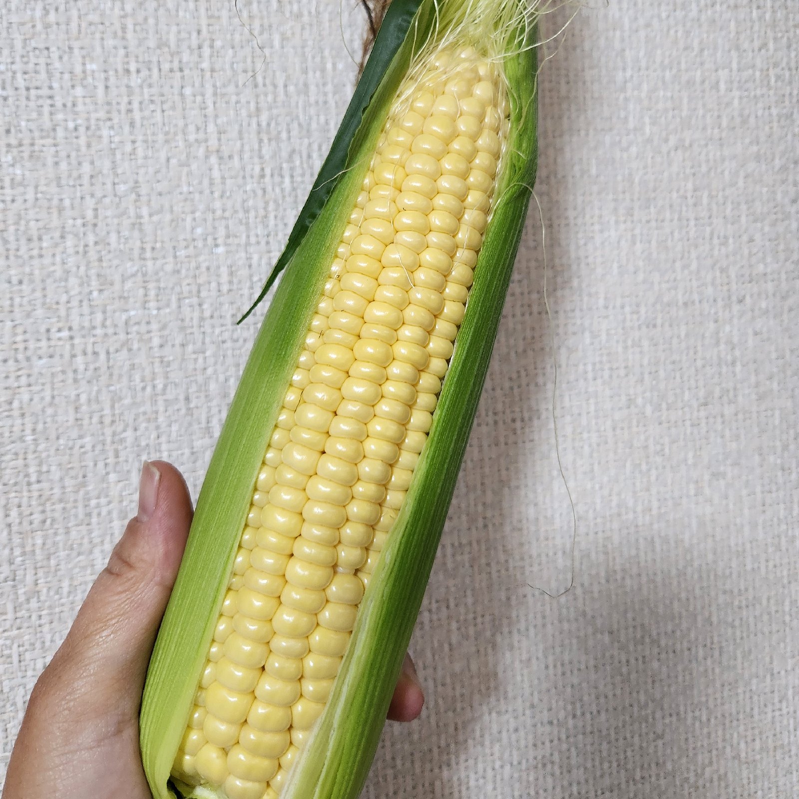 ぷりっぷり！とうもろこし【ミルキーシュガー ｜ 野菜/とうもろこし