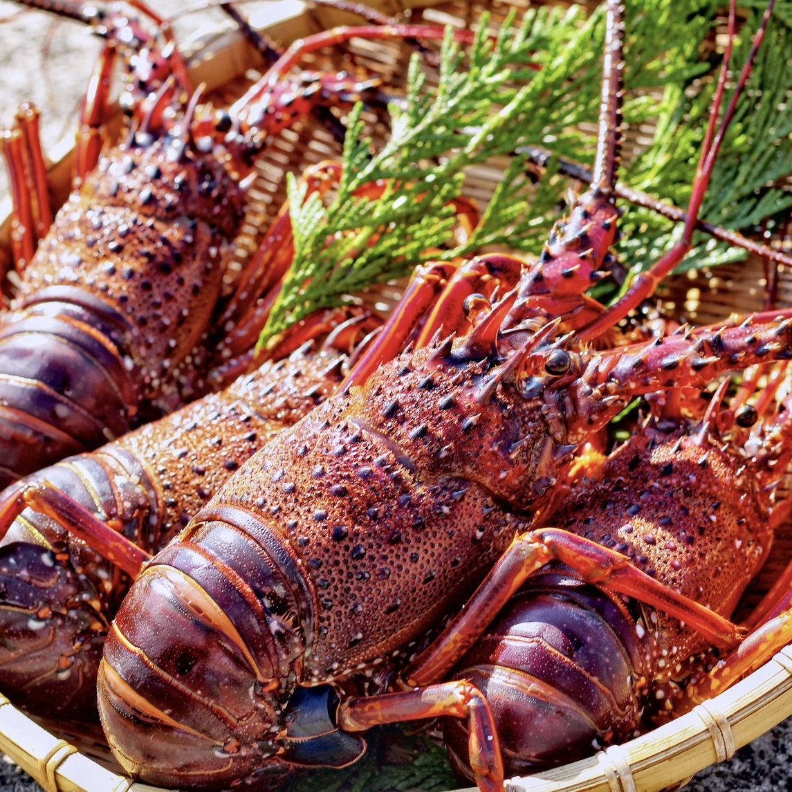 e024bdc6042ca671876afdf1061ab8