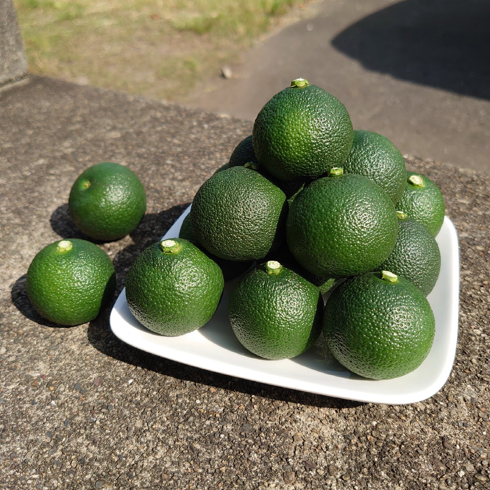 ハウス栽培 へべすA品 約1キロ ｜ 果物/香酸柑橘(ライム・レモン等