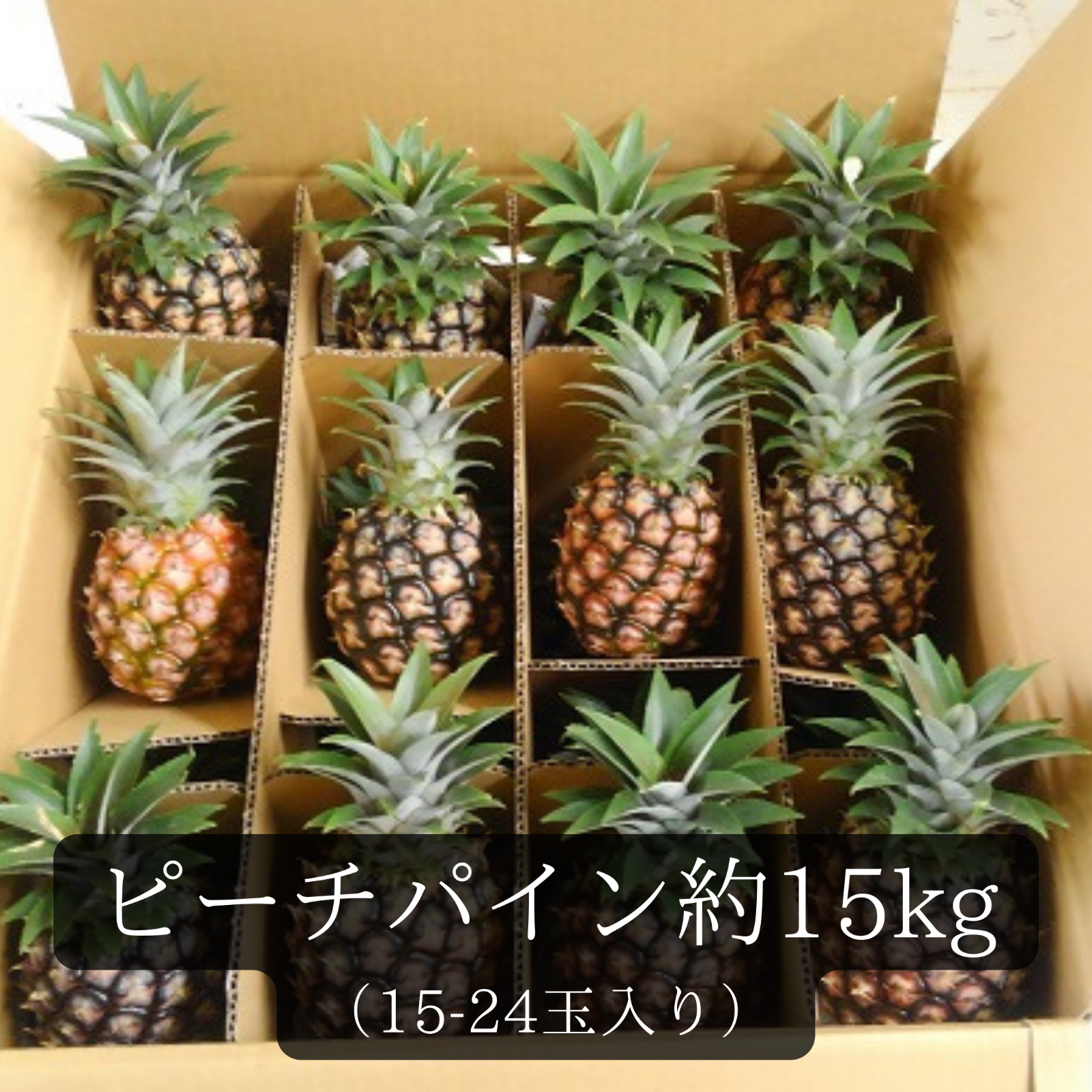 農園ファイミール ピーチパイン約15kg（15～24個入り） ｜ 果物